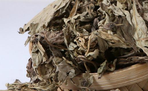 ​湿疹用艾草泡澡需要用清水再洗一遍吗 为什么湿疹洗艾草越洗越痒-九美库