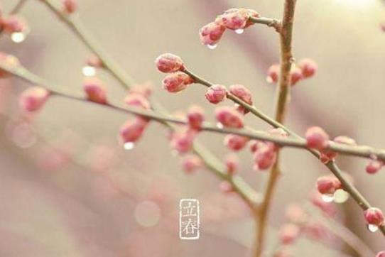 2019年立春是农历几月几日 2019年立春时间-九美库